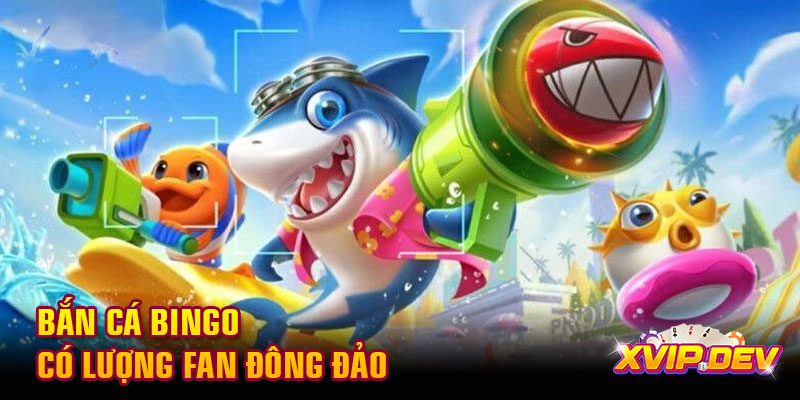 Bắn cá Bingo có lượng fan đông đảo Bắn cá Bingo có lượng fan đông đảo