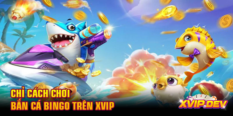 Chỉ cách chơi bắn cá Bingo Chỉ cách chơi bắn cá Bingo trên Xvip