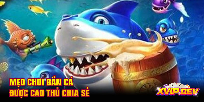 Mẹo chơi bắn cá  Mẹo chơi bắn cá được cao thủ chia sẻ