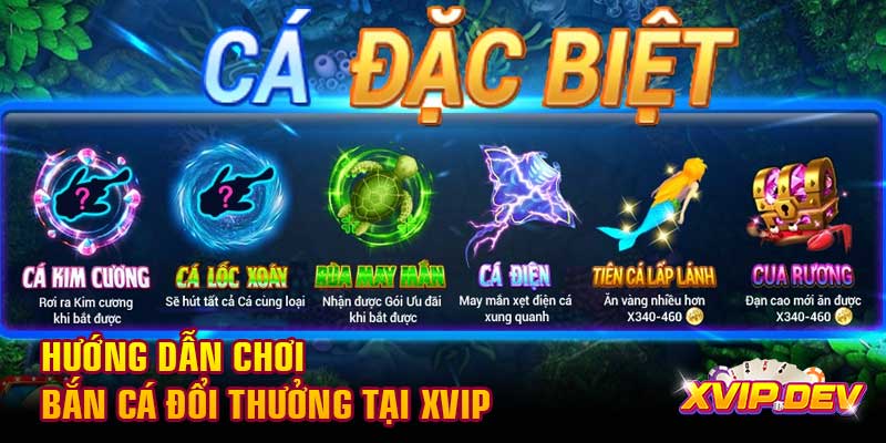 Hướng dẫn chơi bắn cá đổi thưởng tại Xvip Hướng dẫn chơi bắn cá đổi thưởng tại Xvip