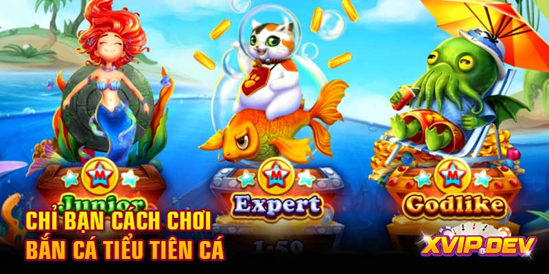 cách chơi bắn cá Tiểu Tiên Cá Chỉ bạn cách chơi bắn cá Tiểu Tiên Cá
