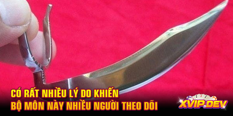lý do khiến bộ môn này nhiều người theo dõi Có rất nhiều lý do khiến bộ môn này nhiều người theo dõi