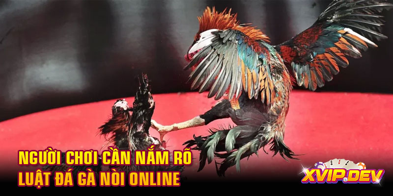 luật đá gà nòi online Người chơi cần nắm rõ luật đá gà nòi online