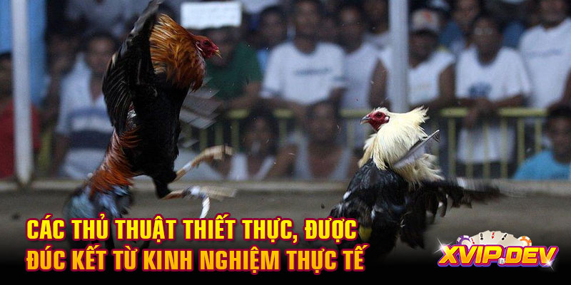 Các thủ thuật thiết thực Các thủ thuật thiết thực, được đúc kết từ kinh nghiệm thực tế