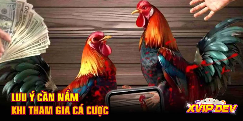 ưu ý cần nắm khi tham gia Lưu ý cần nắm khi tham gia cá cược
