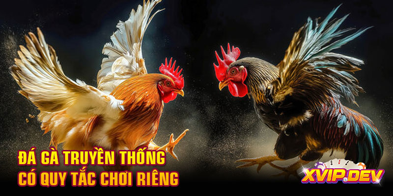 Đá gà truyền thống có quy tắc chơi riêng