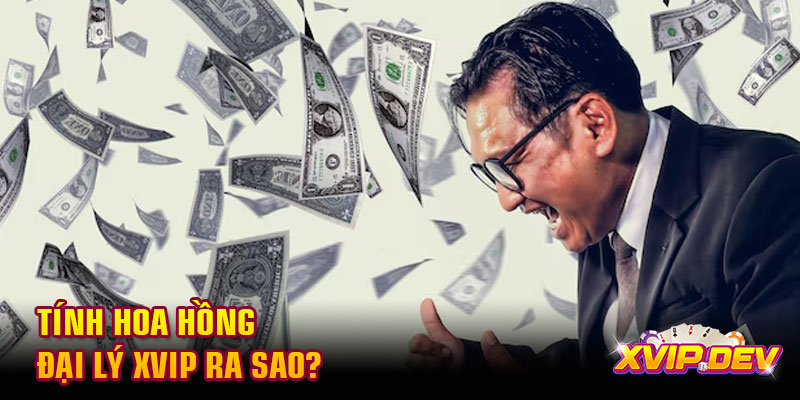 Tính hoa hồng đại lý Xvip ra sao? Tính hoa hồng đại lý Xvip ra sao?