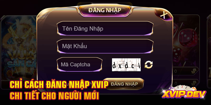 Chỉ cách đăng nhập Xvip chi tiết cho người mới Chỉ cách đăng nhập Xvip chi tiết cho người mới